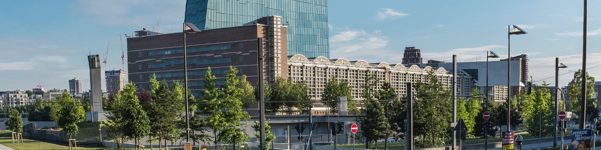 美國公司如何申報(bào)稅務(wù)：詳細(xì)步驟和注意事項(xiàng)