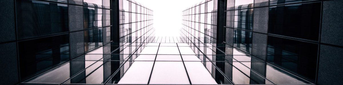 美國德州年審時間你了解嗎？揭秘每一個細(xì)節(jié)，避開潛在雷區(qū)